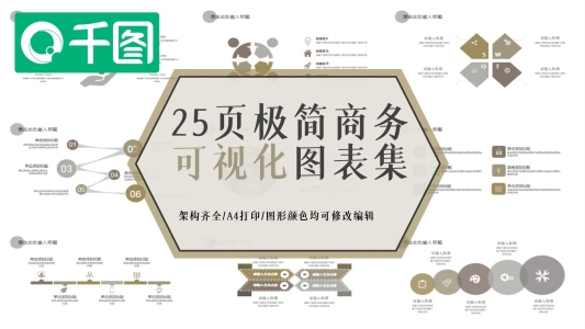 25頁極簡商務可視化圖表合集PPT模板
