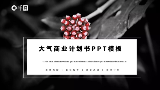 黑紅大氣商業(yè)計劃書免費PPT模板