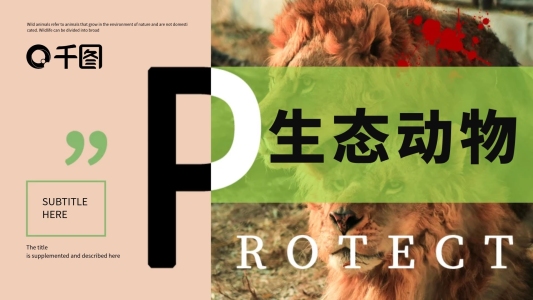 原創(chuàng)極簡風(fēng)保護(hù)生態(tài)動物模板