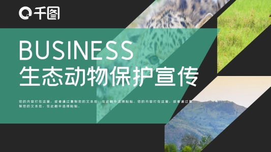 時(shí)尚商務(wù)風(fēng)生態(tài)動(dòng)物保護(hù)宣傳PPT模板