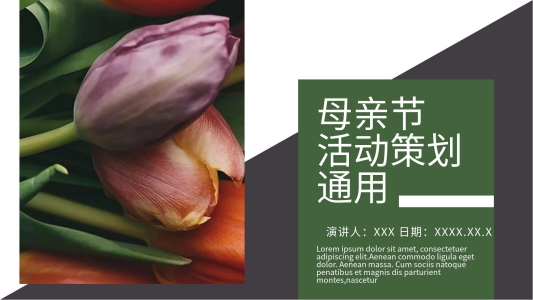 簡(jiǎn)約母親節(jié)活動(dòng)策劃通用PPT模板