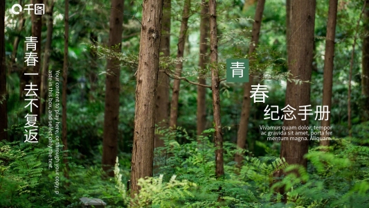 創(chuàng)意青春紀(jì)念手冊回憶總結(jié)PPT模板