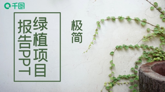 425極簡綠植項目報告PPT模板