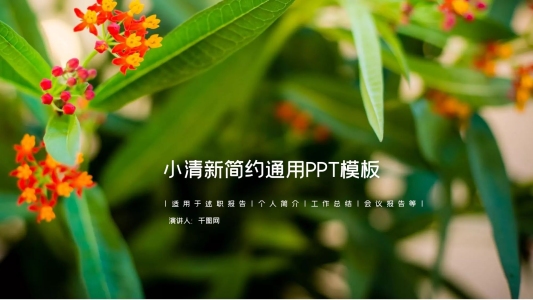 小清新簡(jiǎn)約通用PPT模板