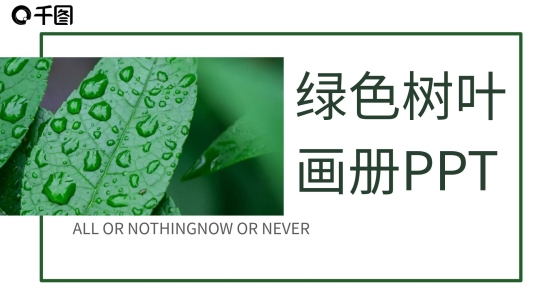 426簡約風(fēng)綠色樹葉 畫冊PPT模板