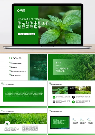 碳达峰碳中和工作与新发展概念环保科普模板