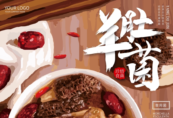 珍惜食菌手繪羊肚菌湯海報宣傳單

