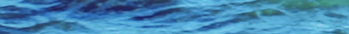 心語(yǔ)心情藍(lán)天白云海鷗鳥海鳥海水美景
