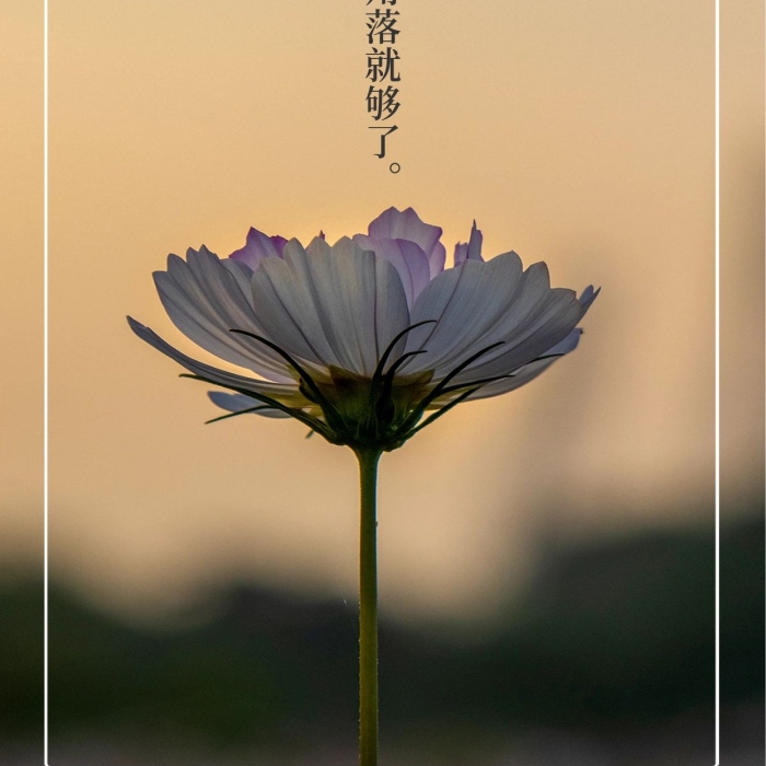 你好簡(jiǎn)約照亮人生高清手機(jī)海報(bào)壁紙背景
