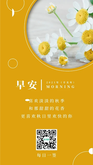 简约早安清新菊花日签