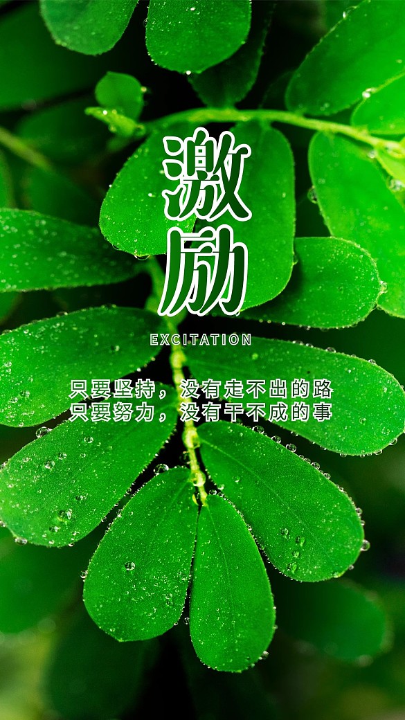 激勵(lì)綠色清新葉子植物