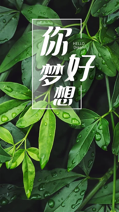 手机海报叶子树叶绿色植物水珠露珠清爽