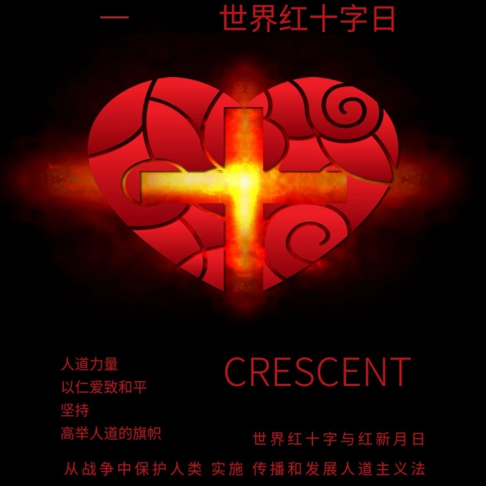 人道力量旗幟攜手為人道紅十字日配圖
