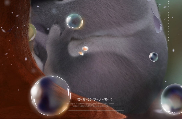 大作勇于純夢覺原畫超級可愛風(fēng)小考拉
