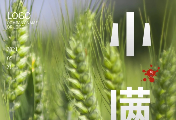 節(jié)氣四月中者文字變形小滿海報
