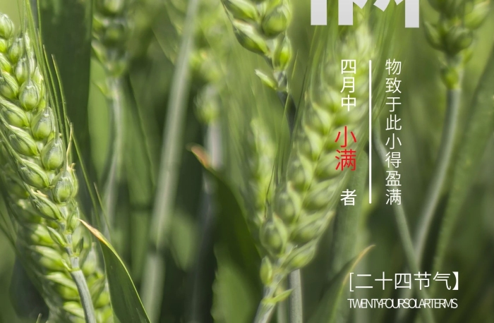 節(jié)氣四月中者文字變形小滿海報
