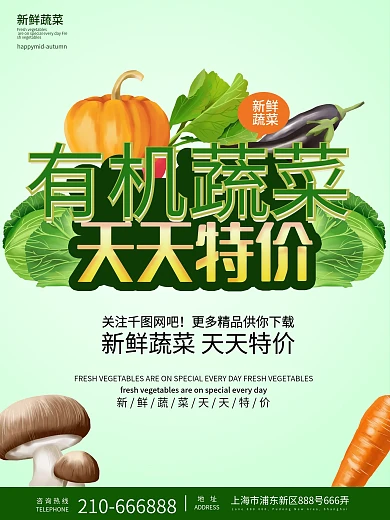 有机蔬菜海报天天特价