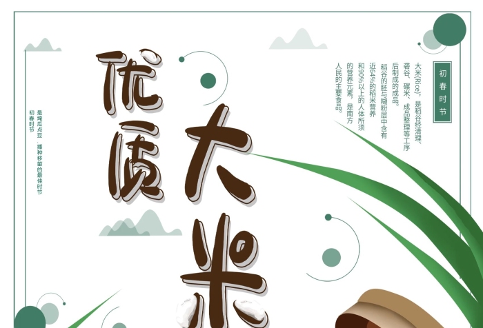 初春時節(jié)礱谷優(yōu)質(zhì)大米詳卡通手繪風(fēng)
