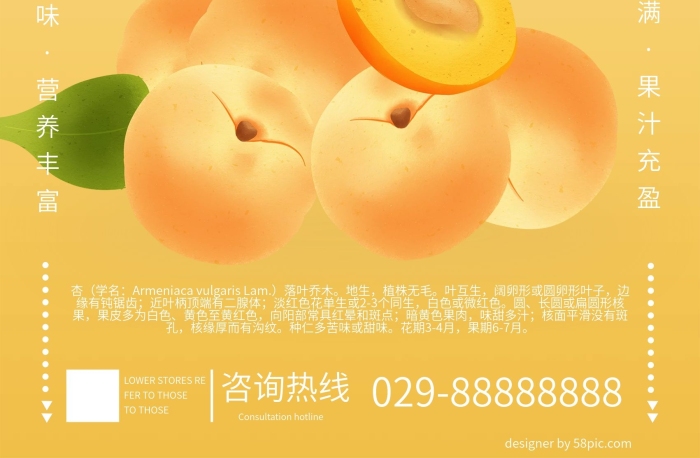 新鮮綠色學(xué)名黃杏海報(bào)
