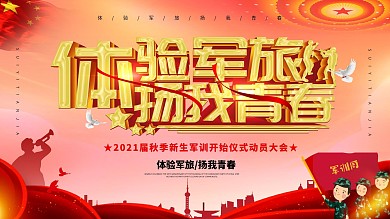 簡約風(fēng)大氣軍訓(xùn)體驗(yàn)軍旅揚(yáng)我青春學(xué)校展板