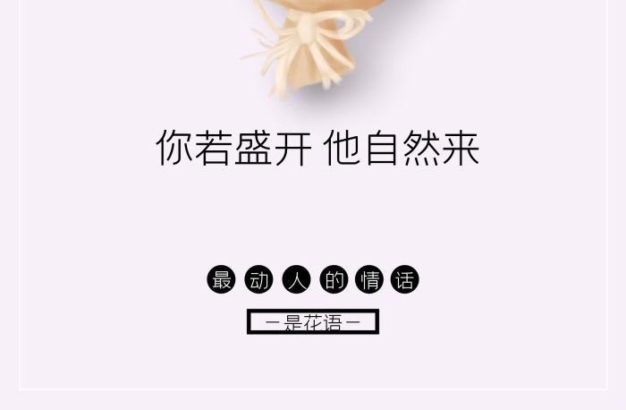 愛情情侶七夕浪漫情人節(jié)鮮花花語(yǔ)
