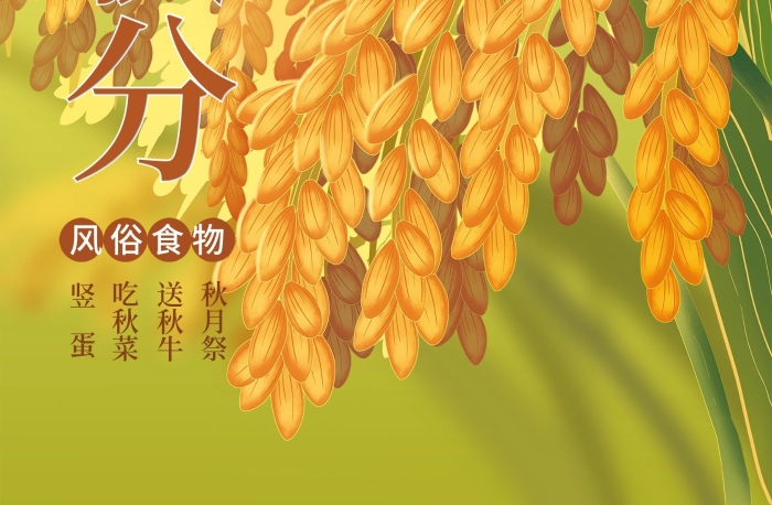 風(fēng)俗食物豎蛋秋分豐收日插畫海報
