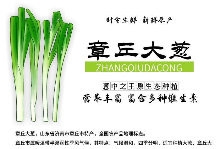 章丘大蔥其特點(diǎn)章丘大蔥海報(bào)
