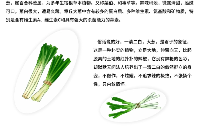 章丘大蔥其特點(diǎn)章丘大蔥海報(bào)
