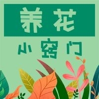 卡通綠色生活常識手繪植物養(yǎng)花小竅門
