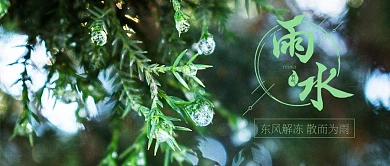 雨水节气公众号封面