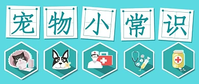 清新宠物小常识宣传