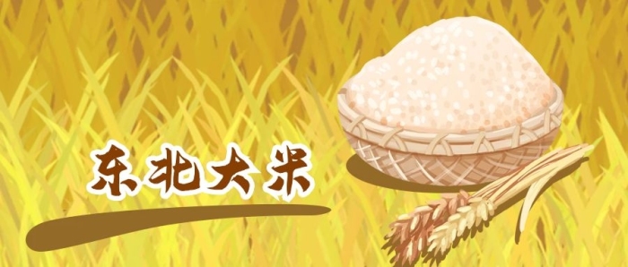企業(yè)商務(wù)東北水稻大米糧食推廣促銷
