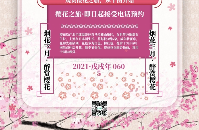 櫻花之旅賞櫻花旅游海報psd
