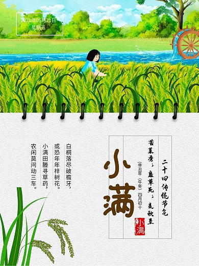 小滿二十四節(jié)氣水稻海報宣傳單