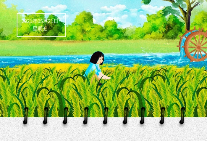 苦菜秀靡草死水稻海報(bào)宣傳單

