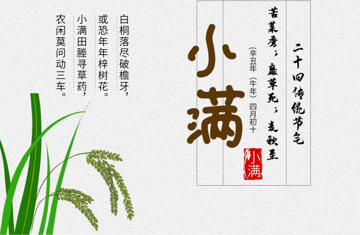 苦菜秀靡草死水稻海報(bào)宣傳單
