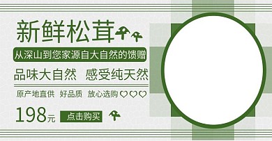 新鮮松茸綠色海報(bào)banner