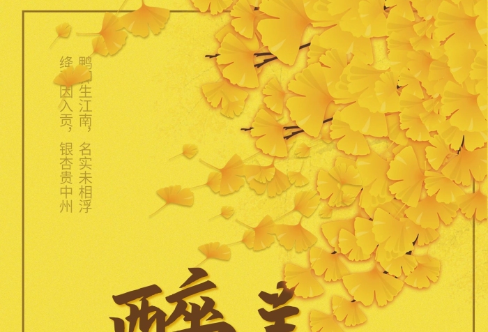 中國美景入貢小清新醉美銀杏海報(bào)
