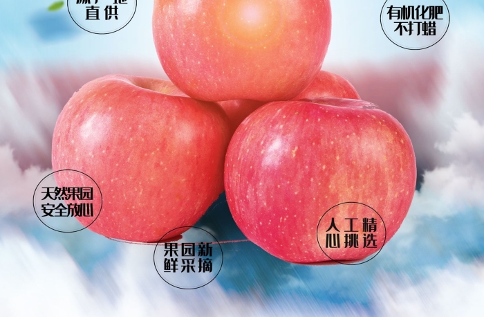 源產(chǎn)地直供蘋果新鮮水果海報(bào)
