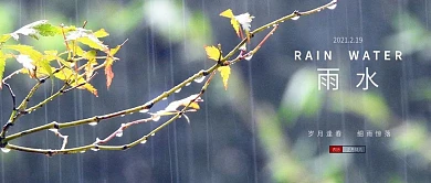 雨水二十四节气雨滴