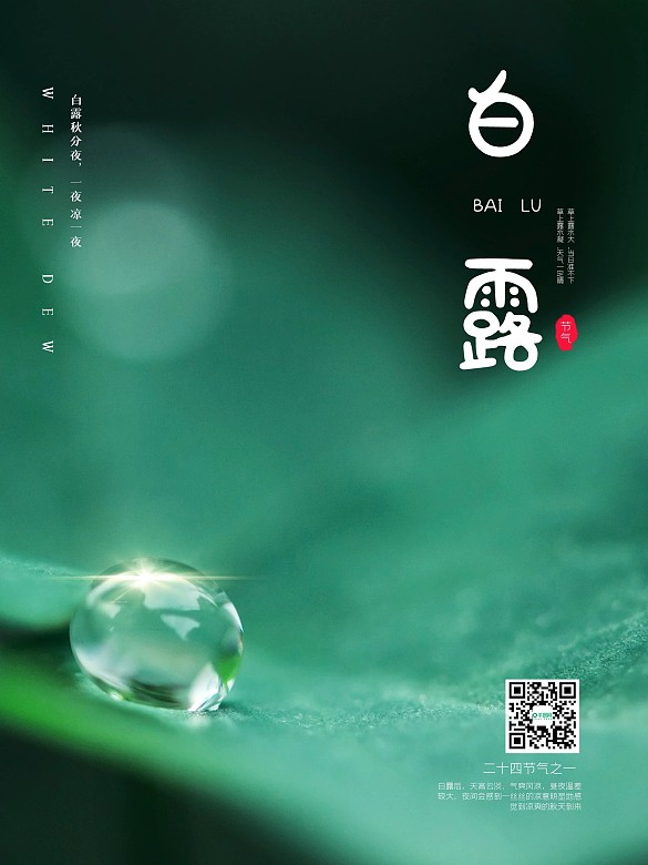 白露二十四節(jié)氣海報簡約大氣白露海報展板