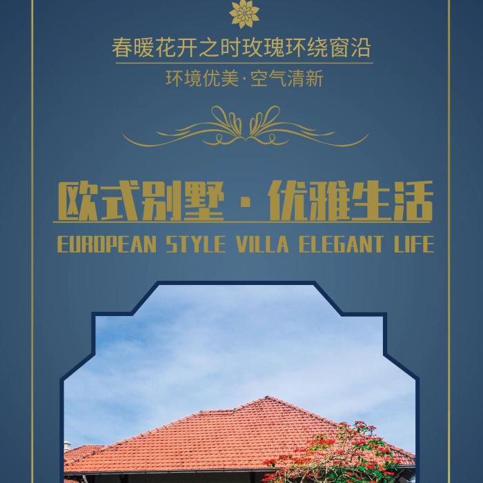 房產(chǎn)宣傳歐式別墅優(yōu)雅生活易拉寶
