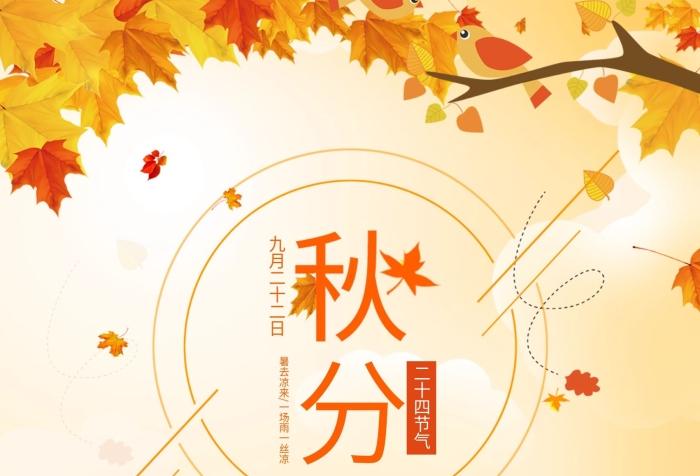 英文名越發(fā)寒冷秋分節(jié)氣簡約海報(bào)
