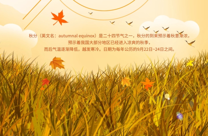 英文名越發(fā)寒冷秋分節(jié)氣簡約海報(bào)
