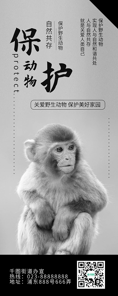 保护野生动物人与自然和谐公益展架易拉宝