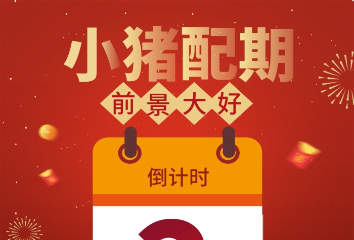 倒計時聯(lián)系助理小豬佩期前景大好
