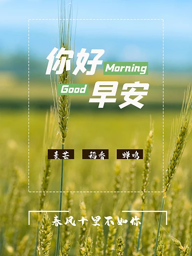 田野水稻清新海报