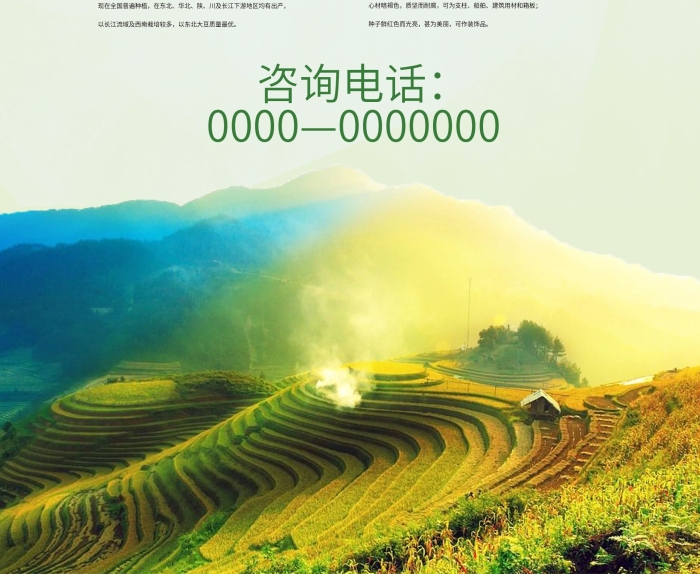 麥子禾本科簡約大氣農(nóng)產(chǎn)品展架PSD
