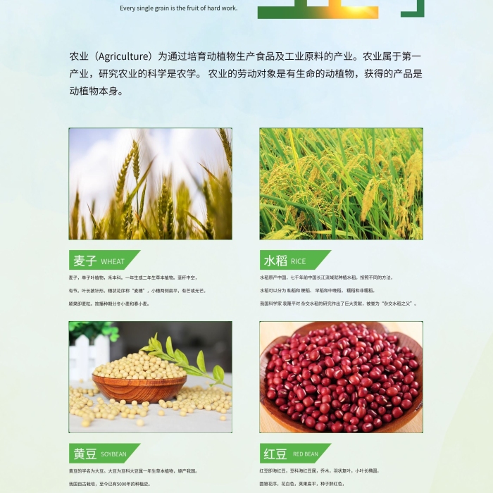 麥子禾本科簡約大氣農(nóng)產(chǎn)品展架PSD
