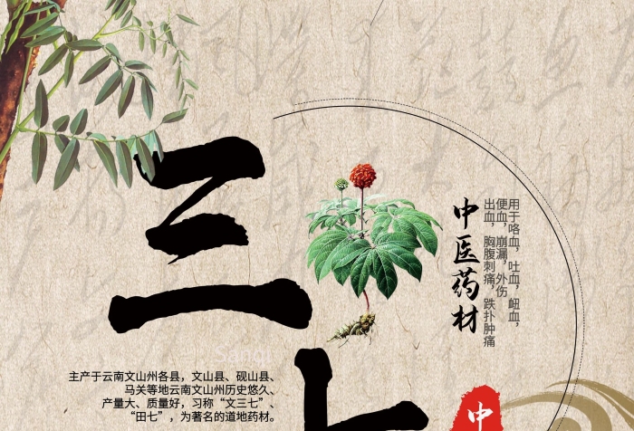 文山縣硯山縣中醫(yī)藥材三七草藥展架
